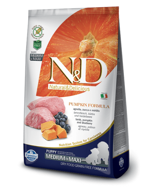 ND PUMPKIN GrainFree PUPPY MEDIUM/MAXI - Lamb &Blueberry