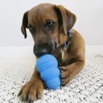 KONG Puppy - M veličina - Slika 4