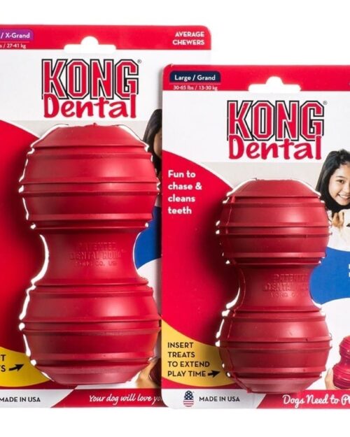 Kong Dental