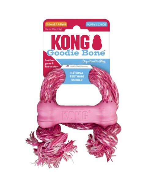 Kong Goodie Bone