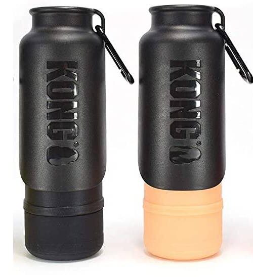 kong travel h20 inso bottle