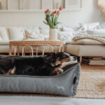 Hunter ortopedska sofa za pse MERIDA, antracit 70x50cm - Slika 7