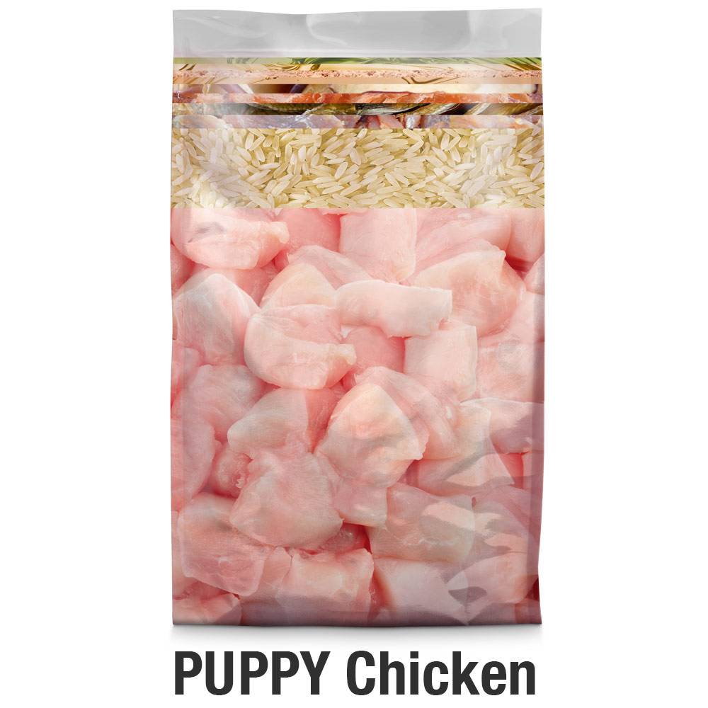 Puppy-Chicken-transparent-1000x1000px