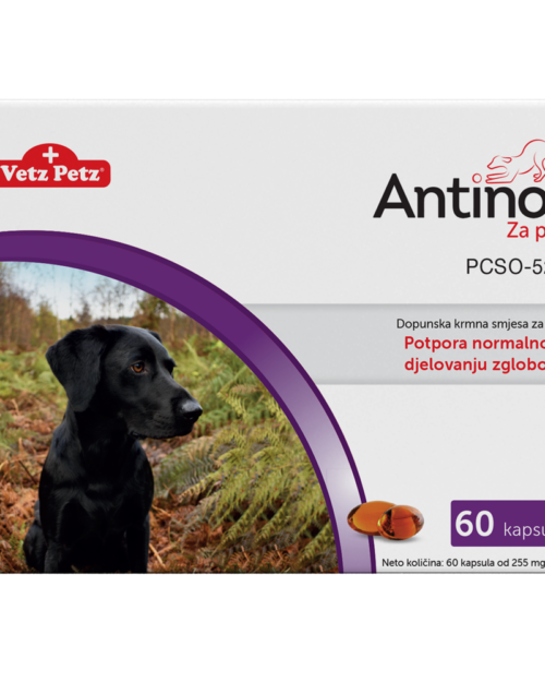 antinol 60kaps
