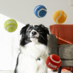 KONG Sport softies balls S, lopte 3 kom - Slika 2