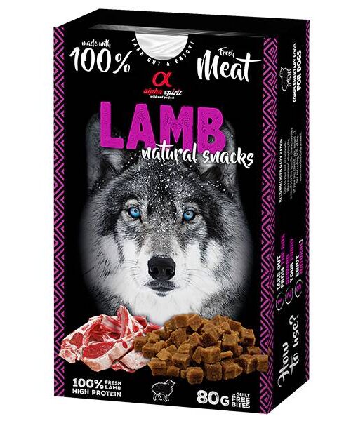 LAMB_PERRO_2048x2048