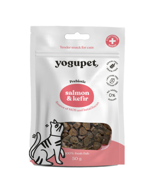 snack-salmon-gat-ok (1)