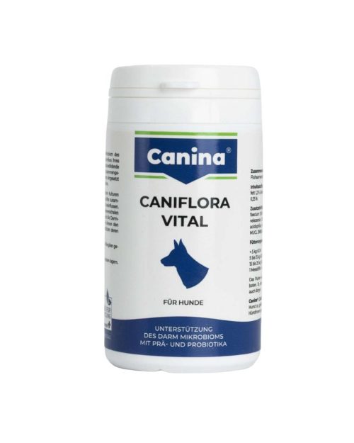 caniflora