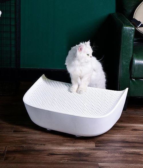 Catlink-ProX-stairs-2_1800x1800