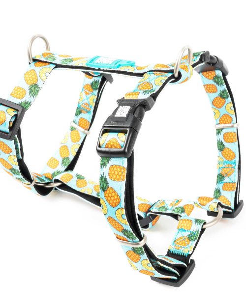 SWEETPINEAPPLE_SKU_Harness