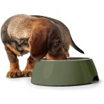 Hunter Melamine Feeding Bowl – klasična melaminska zdjelica za pse i mačke - Slika 4
