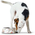Hunter Melamine Feeding Bowl MOGAMI – melaminska zdjelica s azijskim floralnim dizajnom - Slika 3