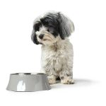 Hunter Melamine Feeding Bowl ATLANTA – elegantna melaminska zdjelica za pse i mačke - Slika 4
