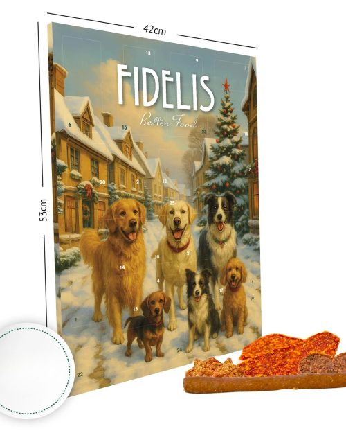 fidelis