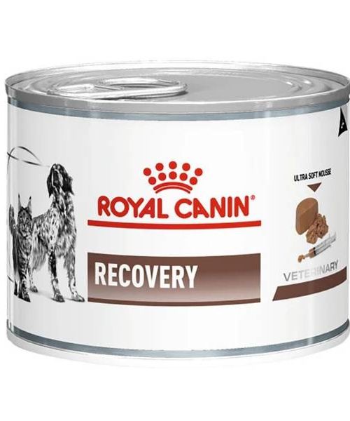 recovery__za_oporavak__konz_195g_f7f6d6a0-7074-4db4-a5bb-ce20dc0403c2