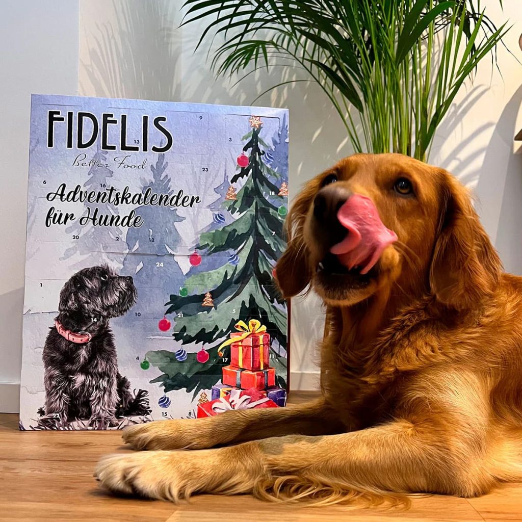 Adventski kalendar za pse