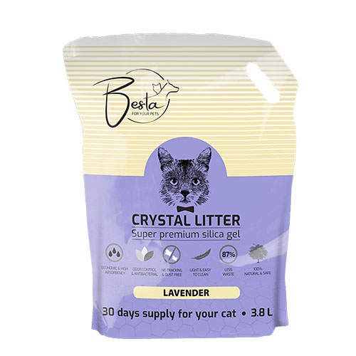BSLL38