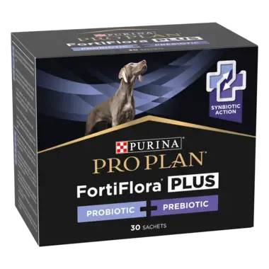 FF_dog1.png