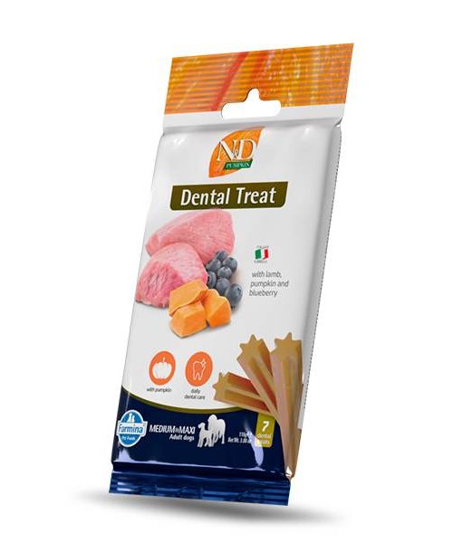 1086_48_nd-pumpkin-dental-treat-lamb-medium-maxi (1)