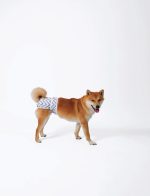 M-PETS perive pelene za ženke, 2 kom - Slika 4