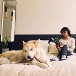 Woof BullySafe držač za žvakalice za pse sigurno žvakanje - Slika 5