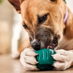 Woof Pupsicle interaktivna igračka za pse, zeleni - Slika 4