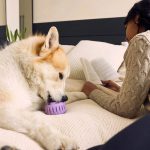 Woof Pupsicle interaktivna igračka za pse, lavanda - Slika 5