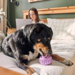 Woof Pupsicle interaktivna igračka za pse, lavanda - Slika 4