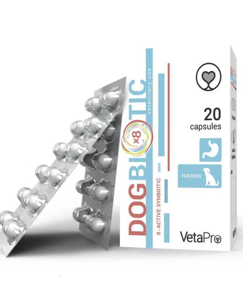 10.mockup_dogbiotic