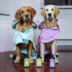 Max & Molly Ogrtač za pse, Leopard Pink - Slika 7