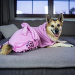 Max & Molly Ogrtač za pse, Leopard Pink - Slika 3