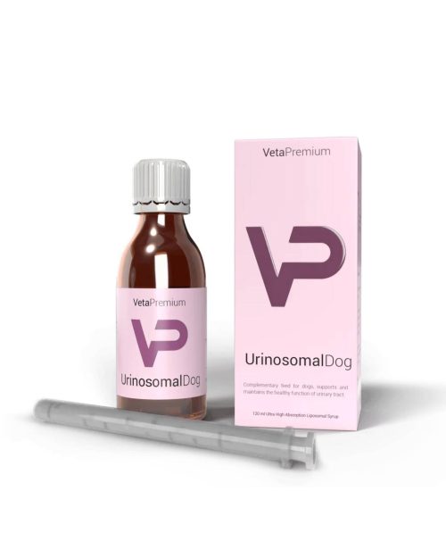 UrinosomalDog